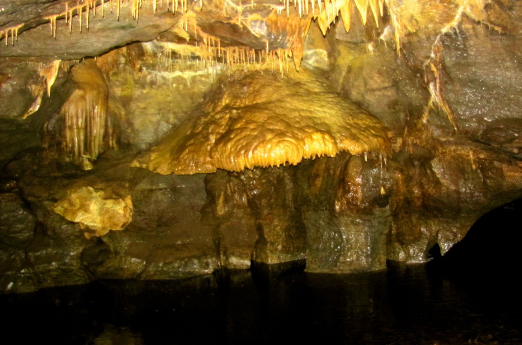 This is kind of a neat thing. The flowstone formed while the river was higher, over thousands of years. With the cave opening up, the water level dropped, and the flowstone that used to stop at the water surface now hangs about four feet above the water.