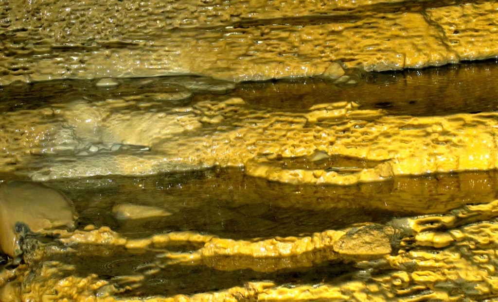 The flowstone has formed a number of roughly crescent-shaped ridge pools.