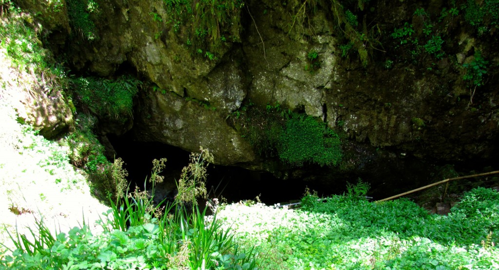 You enter the cave through a shake hole - a place where a cave has collapsed, opening up a way into the complex.