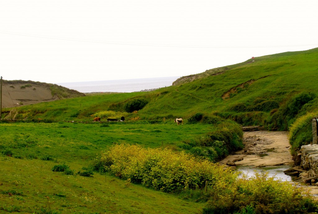 The Aille River runs along Fisher Street in Doolin.