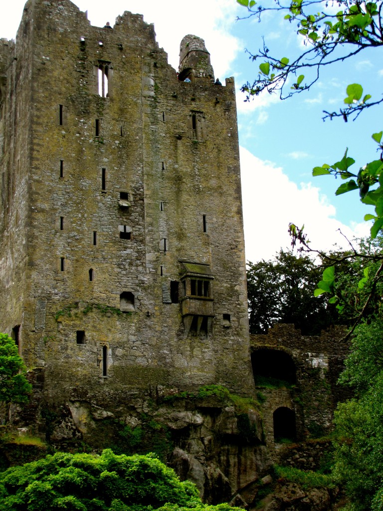 But I did need to take a picture or two of the castle.