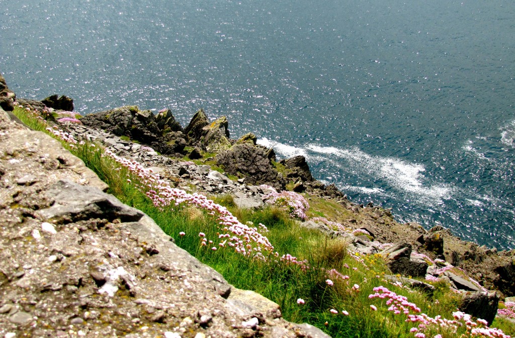 The rough coastline here is near the Blasket Islands.