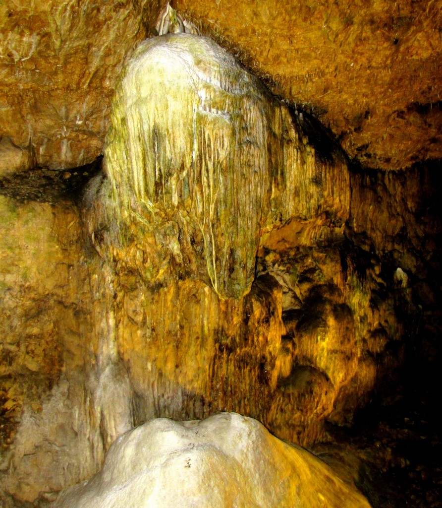 This stalactite is called the Buffalo. It should reach the stalagmite below it in about 10,000 years, forming a column.