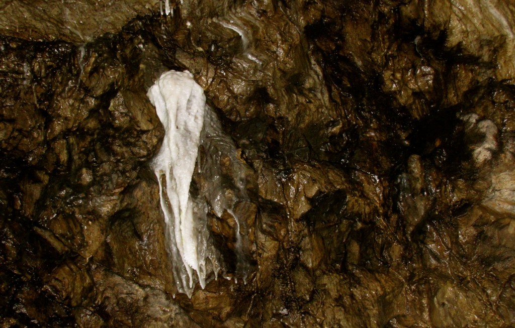 They call this formation Casper the Friendly Ghost. It's fairly young, only about a foot and a half tall, and very pure calcite, resulting in it's pure white, almost glowing appearance.