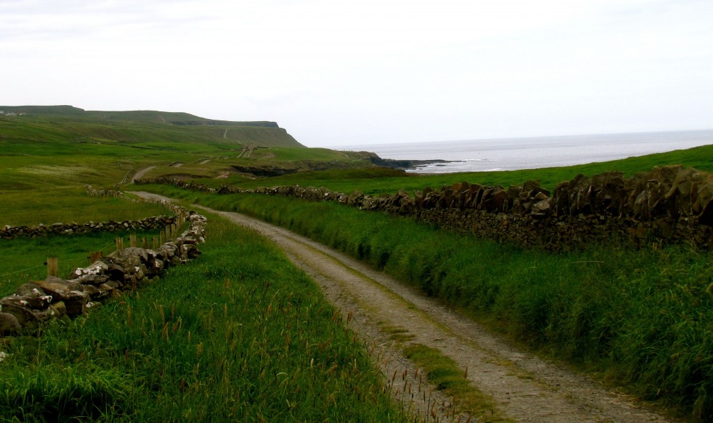 I got a fair way along the cliff walk, but turned back at the sign that said not to use the rest of the trail.