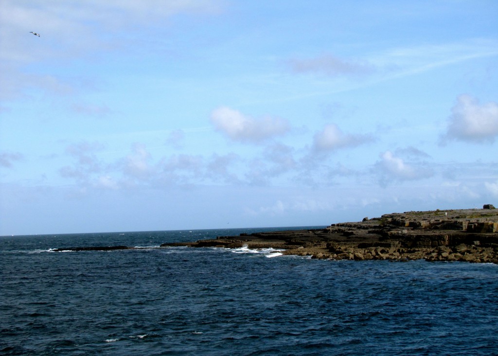 The sea was doing its level best to put on a good show for us. Some very impressive waves along the coastline.