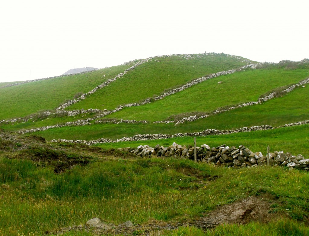 Hills and rock fences.