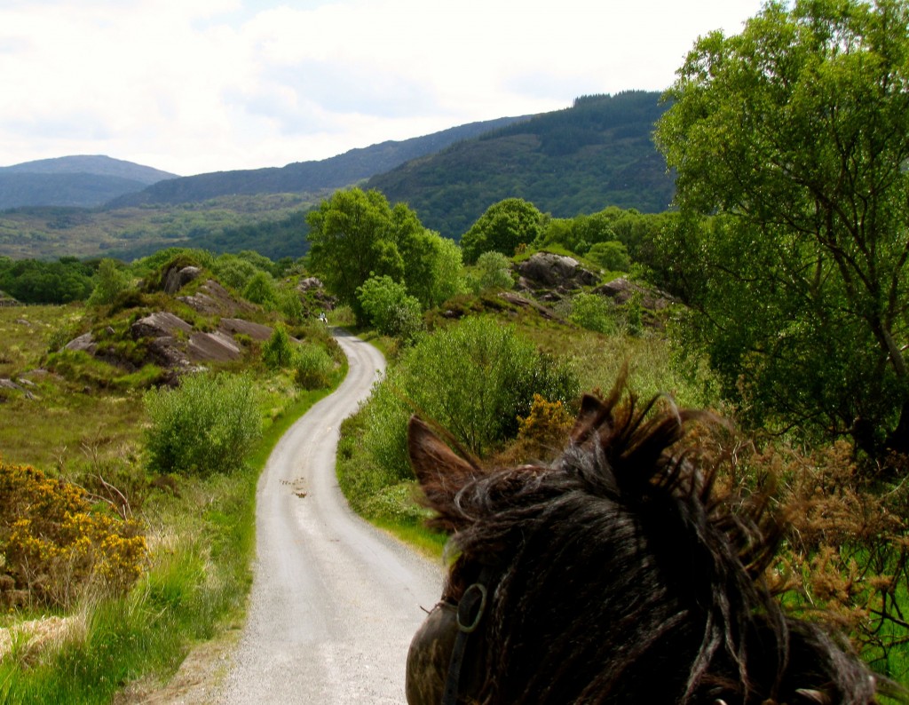 The road down is a little less steep and far greener than the road up.