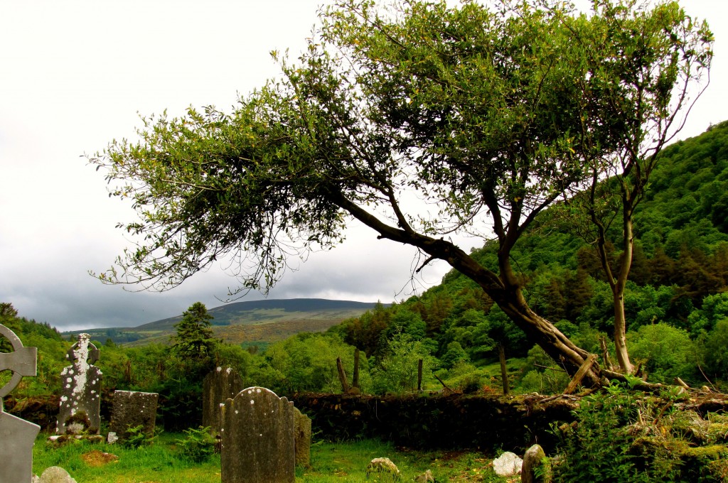 The valley runs a long way down. The name Glendalough means Valley of Two Lakes.