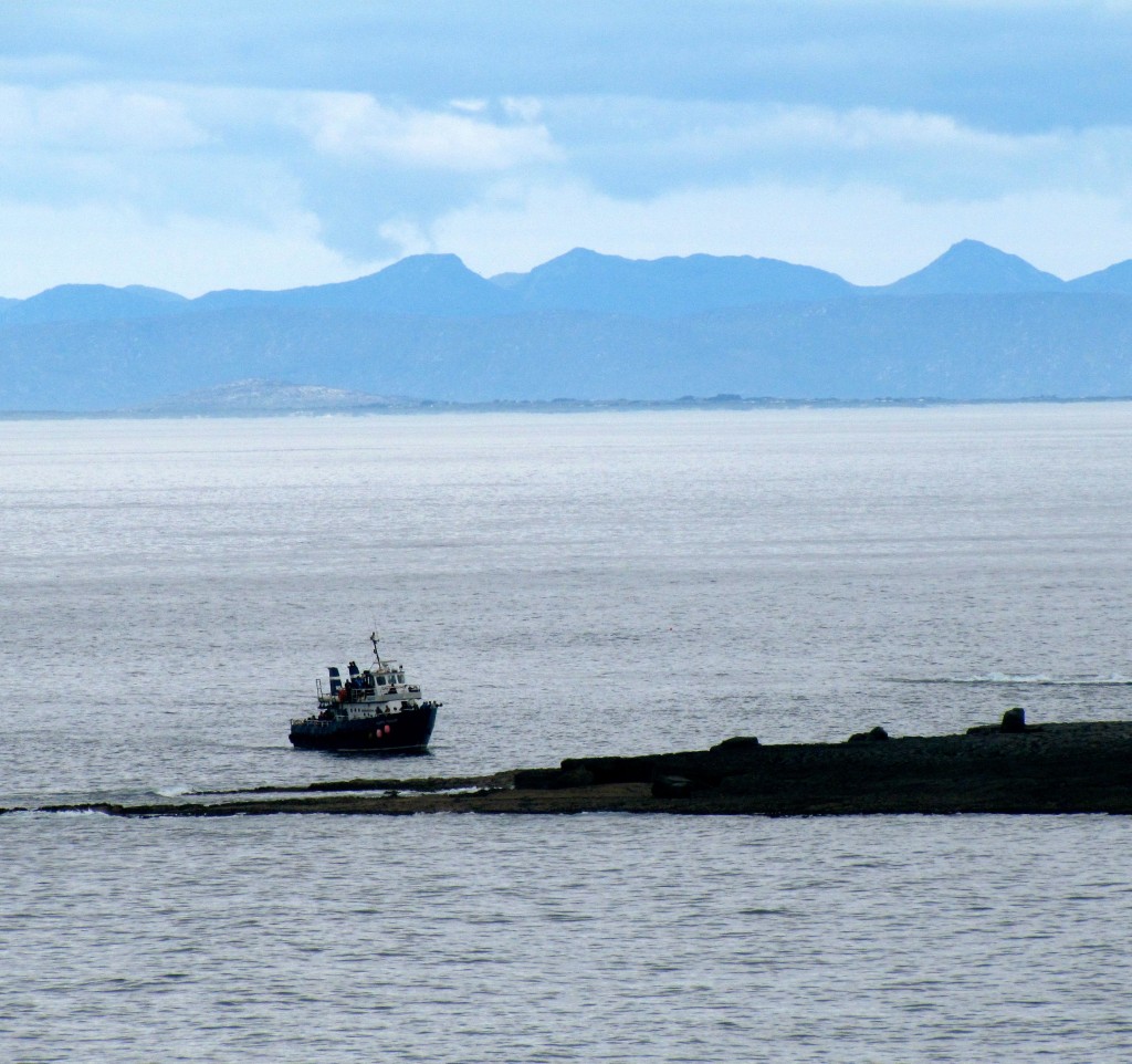 A ferry coming in.