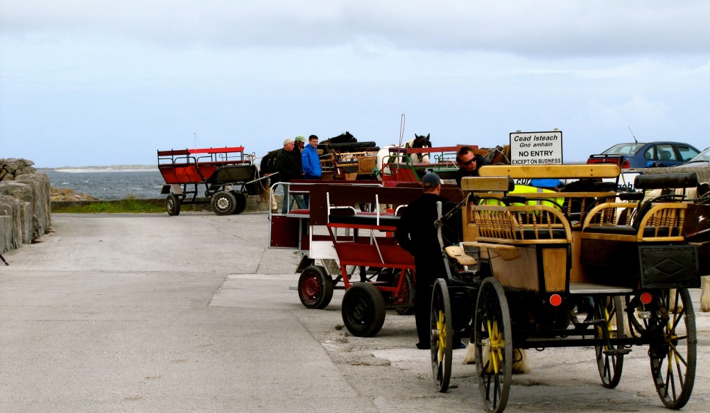 Pretty much the first thing you see as you get off the ferry is the line-up of locals offering to take you on a tour. A couple of them have minivans, but the majority have a horse and cart. Guess which one I chose.