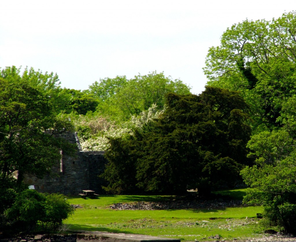 Inisfallen is an island in the big lake that has the remains of an abbey/university from the sixth century on it. It was, apparently, one of the great centres for learning in Ireland.