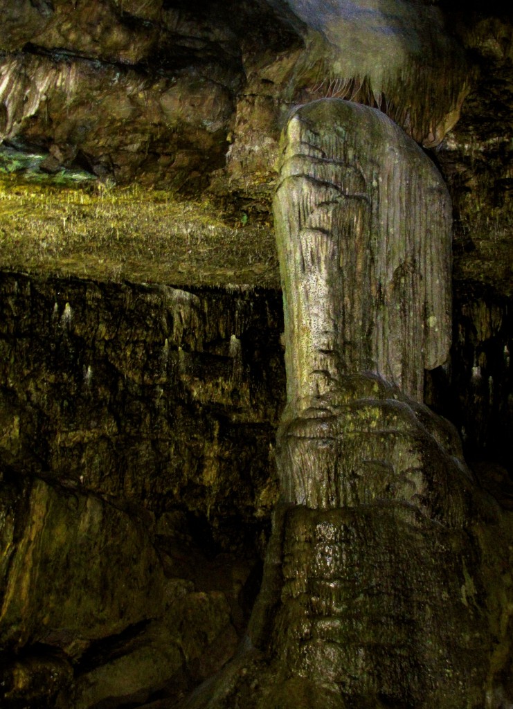 Central to the Town Hall is a 6m tall stalagmite they call the Market Cross. Some say it looks like a cross, but the guide said - and I agree - it looks more like a hand holding a pint of Guinness.