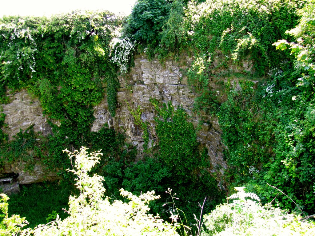 The top of the shakehole that leads to the entrance of Dunmore Cave.