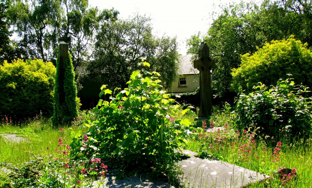 The churchyard is very overgrown - the church is essentially abandoned. It's too expensive for the office of public works to take on right now.