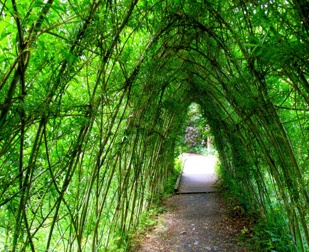 The woven tunnel of willows is also far more impressive when its green, rather than just bare branches.