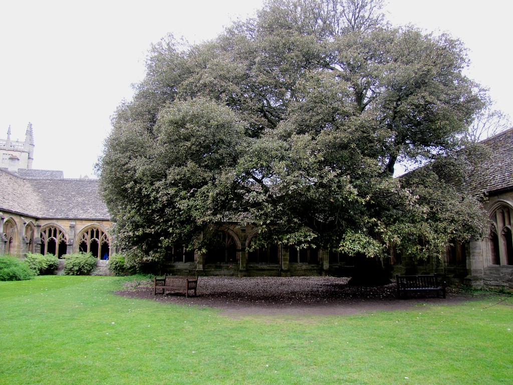 ...is the cloister. One of the scenes in Harry Potter and the Goblet of Fire was shot here.